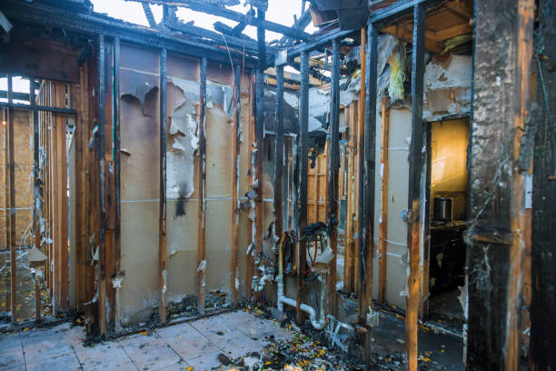 Professional Smoke Damage Removal technician working in Manawa, WI